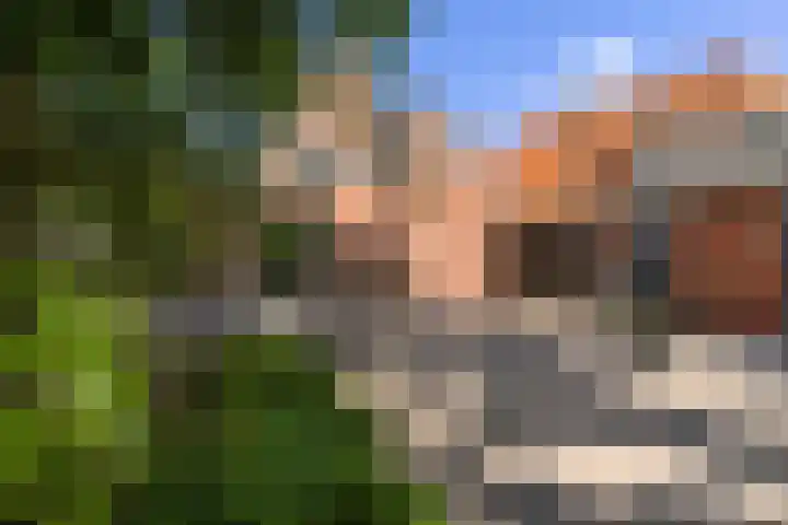 Gijsbert van Swietenstraat 7 St.-Jacobiparochie thumbnail 36