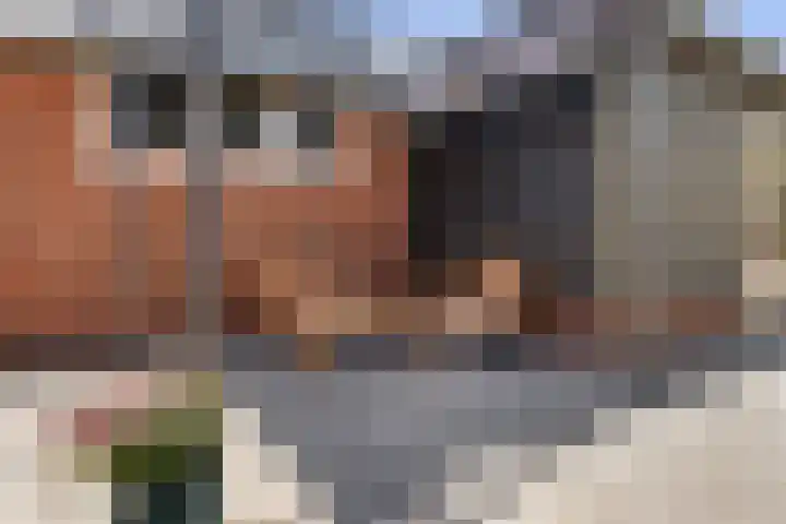Gijsbert van Swietenstraat 7 St.-Jacobiparochie thumbnail 38