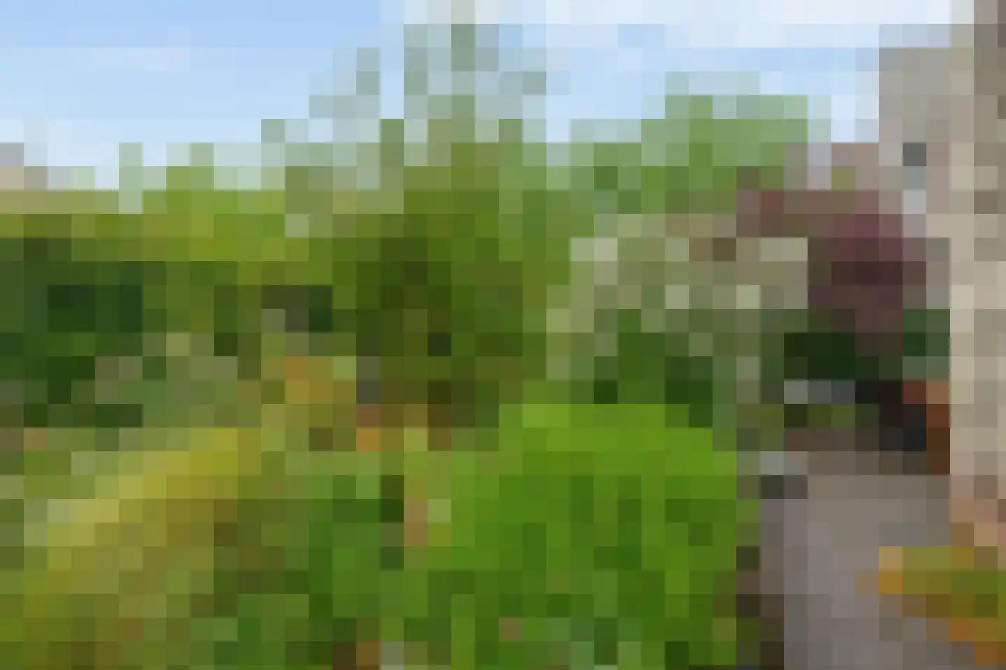 Gijsberterf 12 Waddinxveen thumbnail 28
