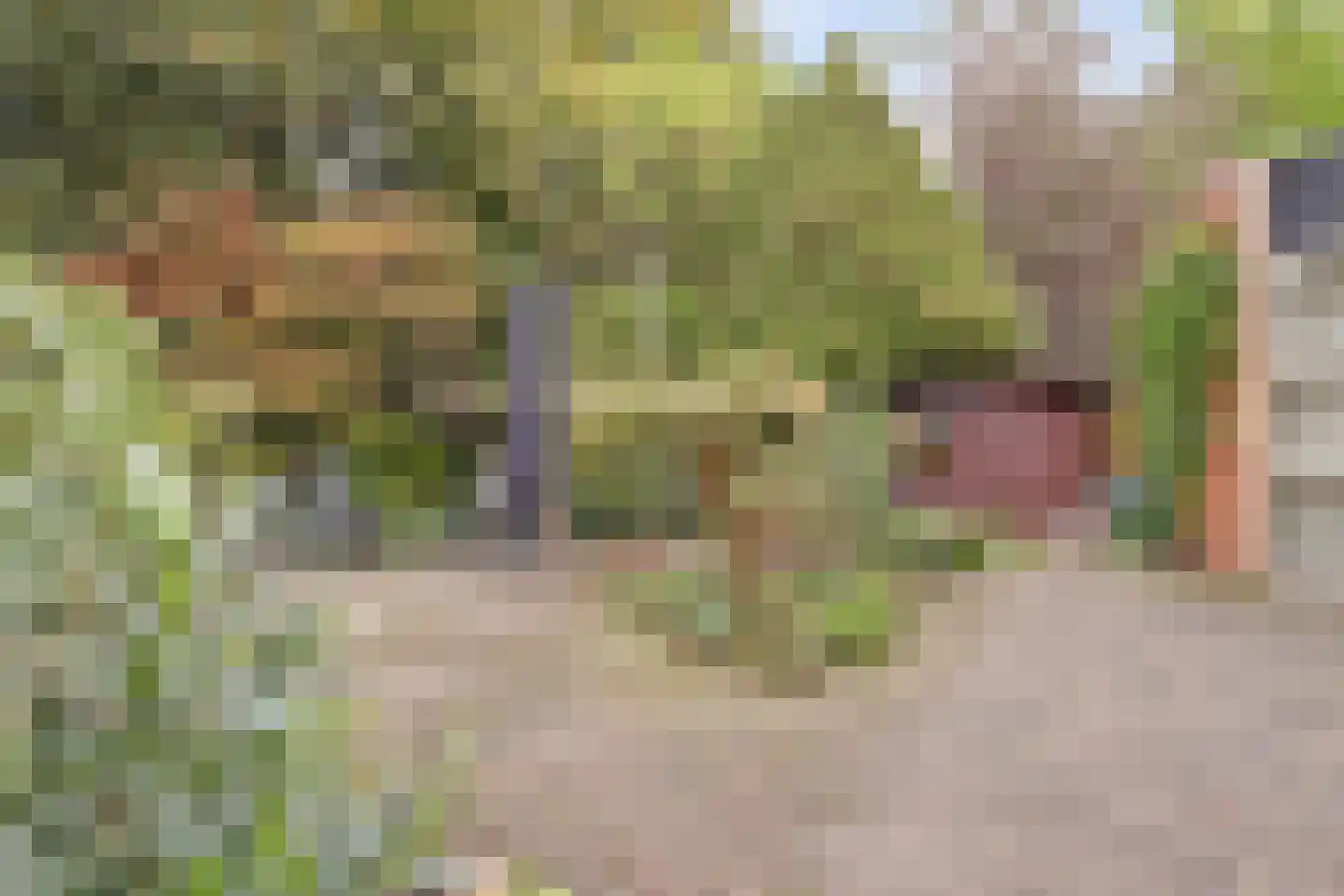 Gijsberterf 36 Waddinxveen thumbnail 29