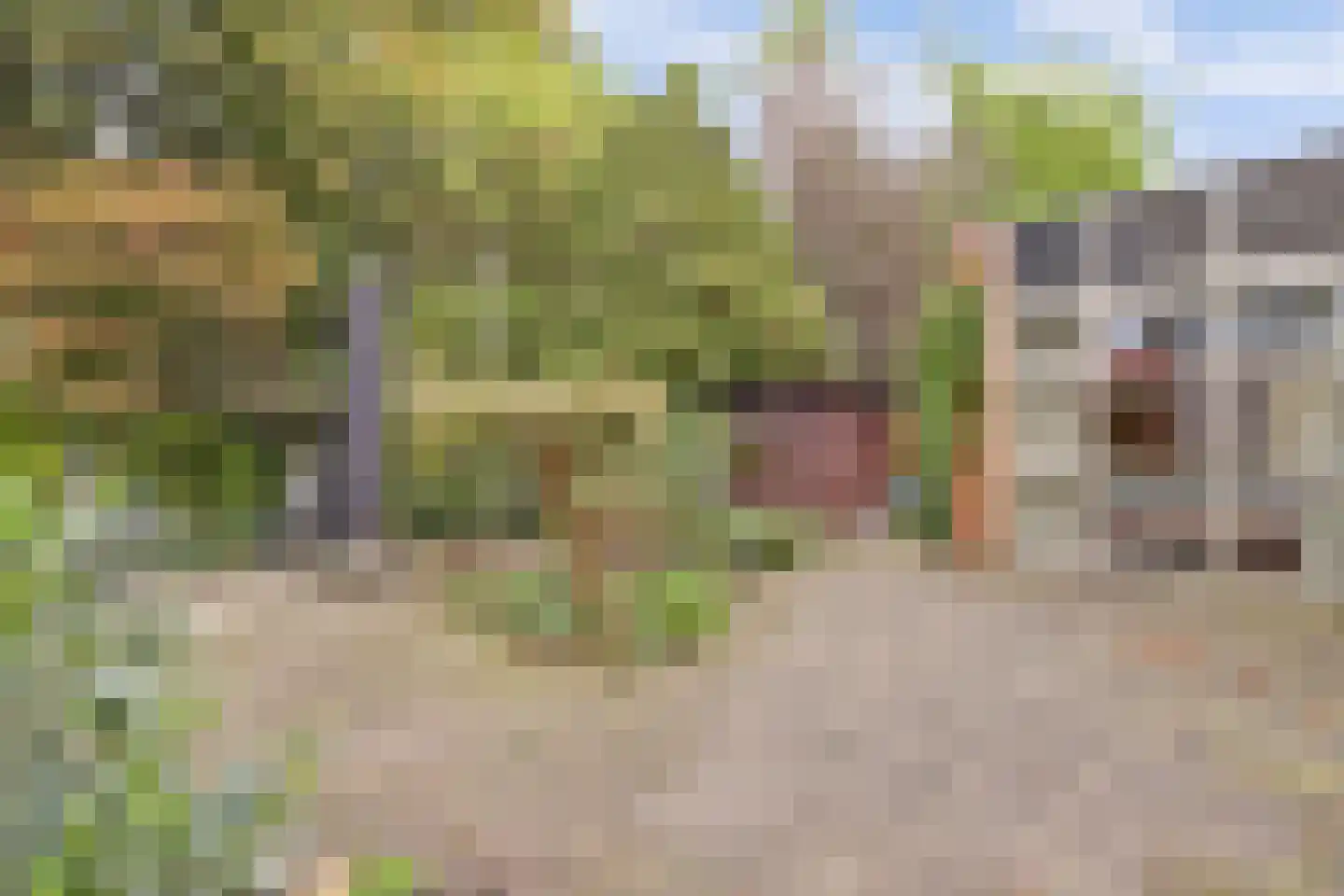 Gijsberterf 36 Waddinxveen thumbnail 30