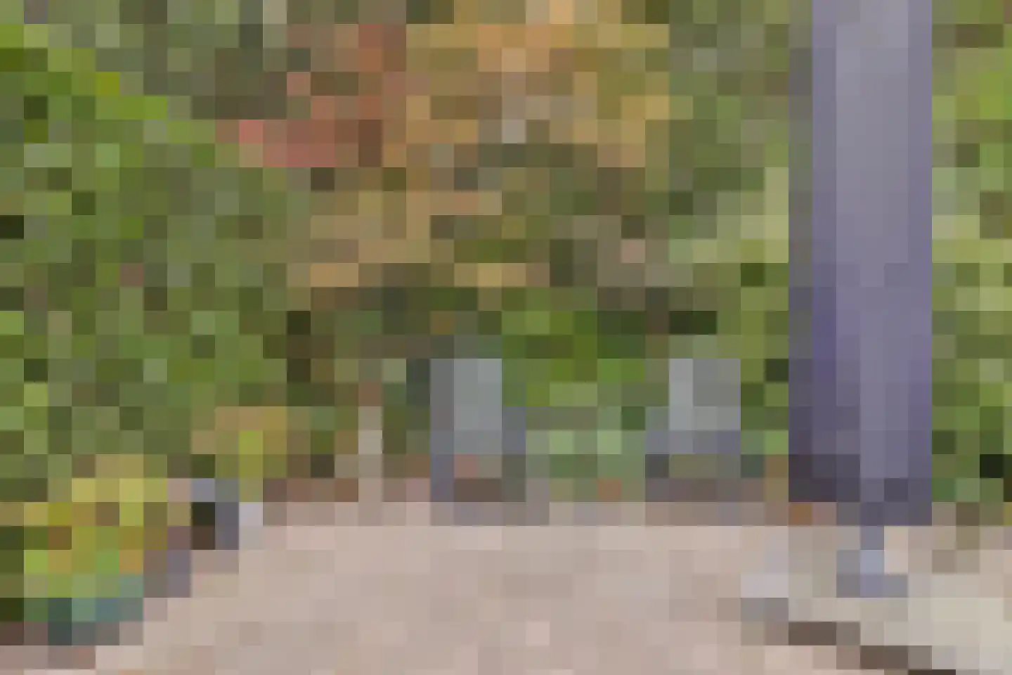 Gijsberterf 36 Waddinxveen thumbnail 31