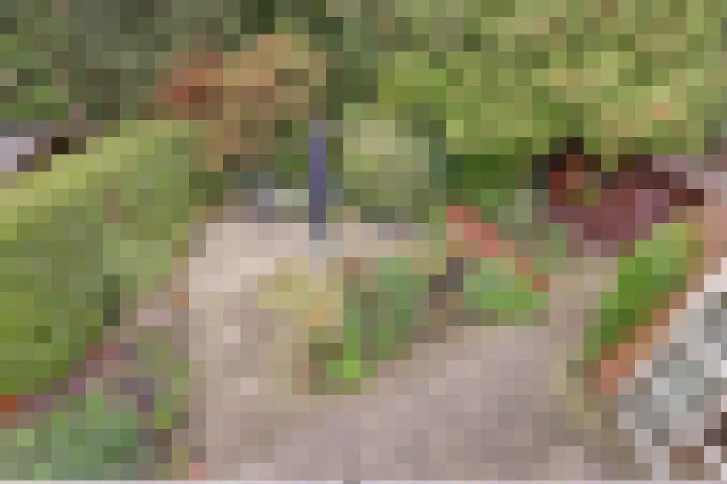 Gijsberterf 36 Waddinxveen thumbnail 32
