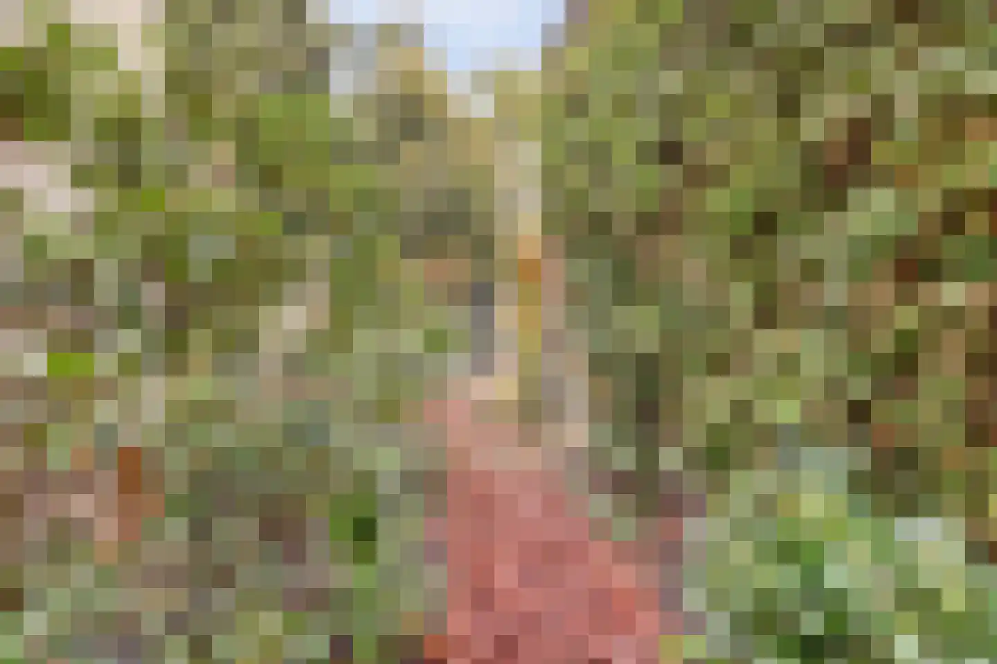 Gijsberterf 36 Waddinxveen thumbnail 34