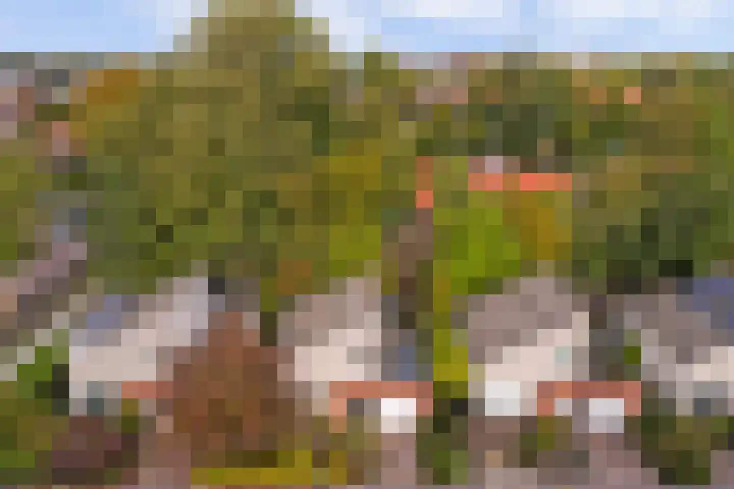 Gijsberterf 36 Waddinxveen thumbnail 35