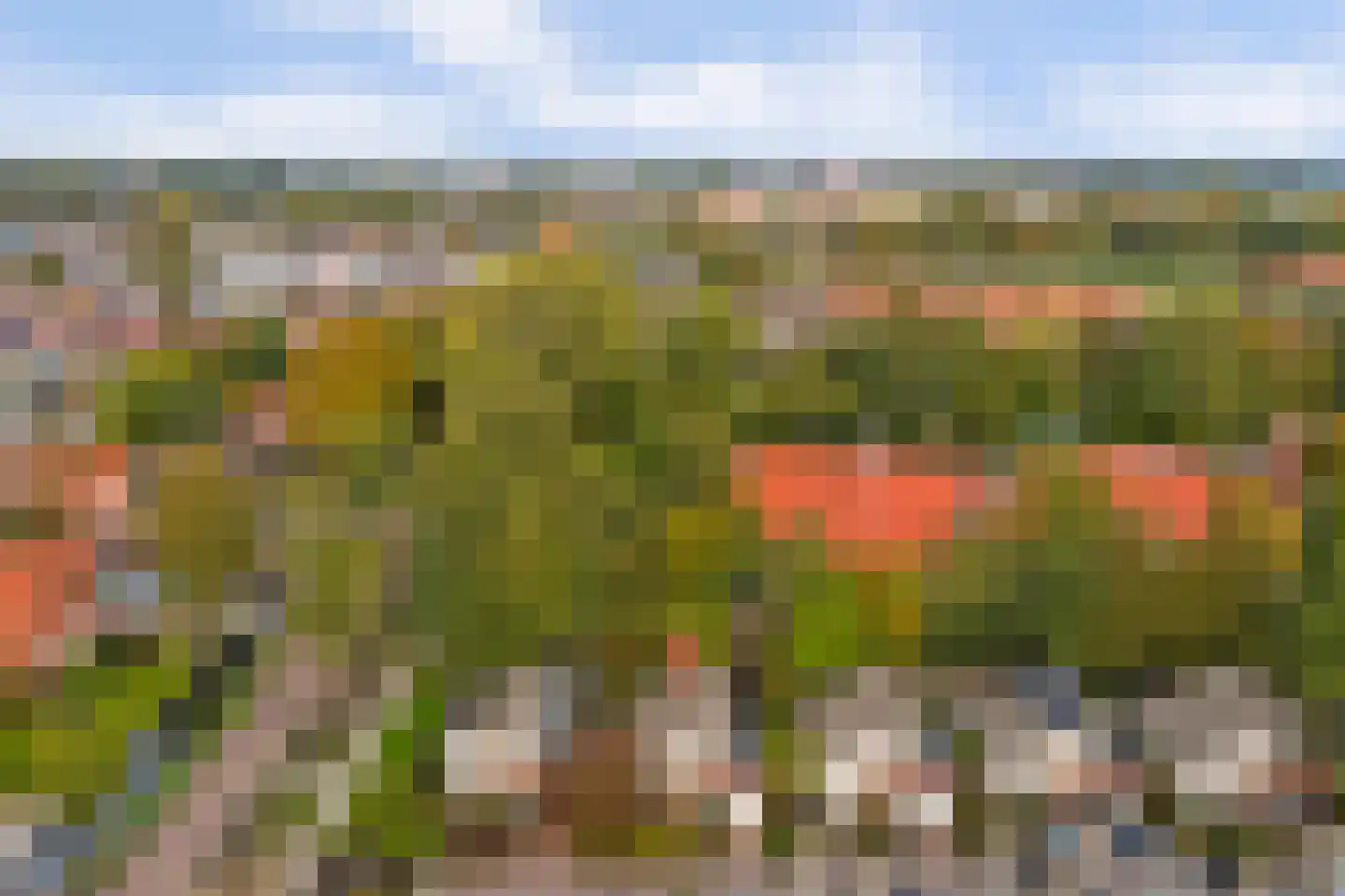 Gijsberterf 36 Waddinxveen thumbnail 38