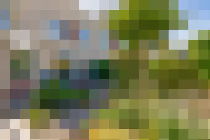 Gijsberterf 6 Waddinxveen thumbnail 20
