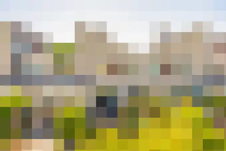 Gijsberterf 6 Waddinxveen thumbnail 21