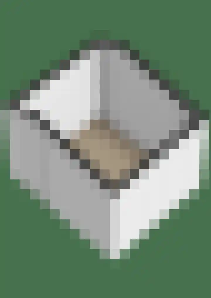 Gijsberterf 6 Waddinxveen thumbnail 46