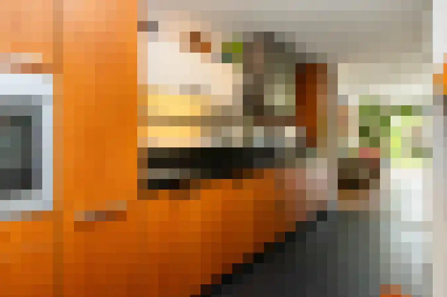 Gijsbertje Louffhof 15 Weesp thumbnail 13