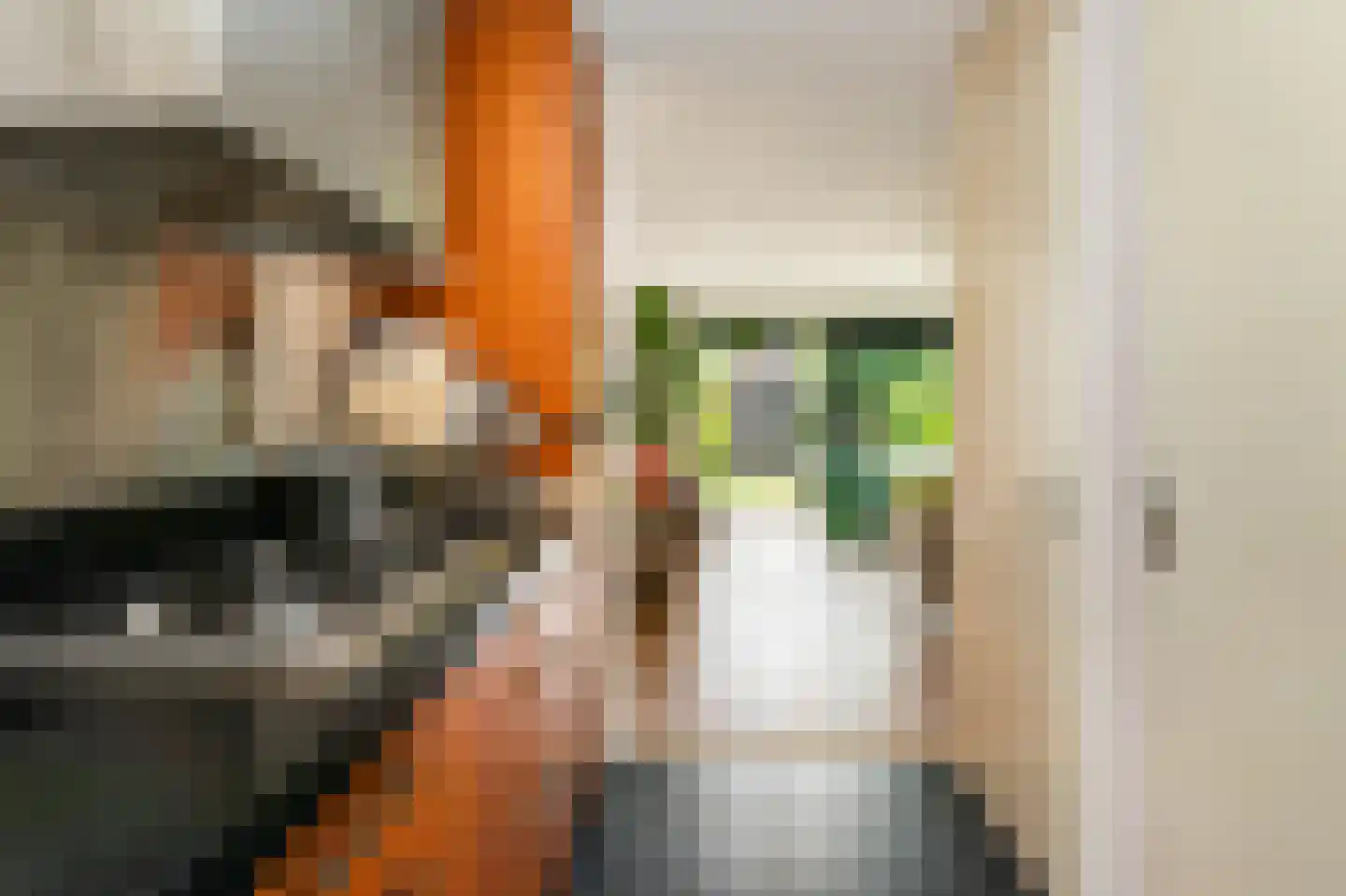 Gijsbertje Louffhof 15 Weesp thumbnail 14