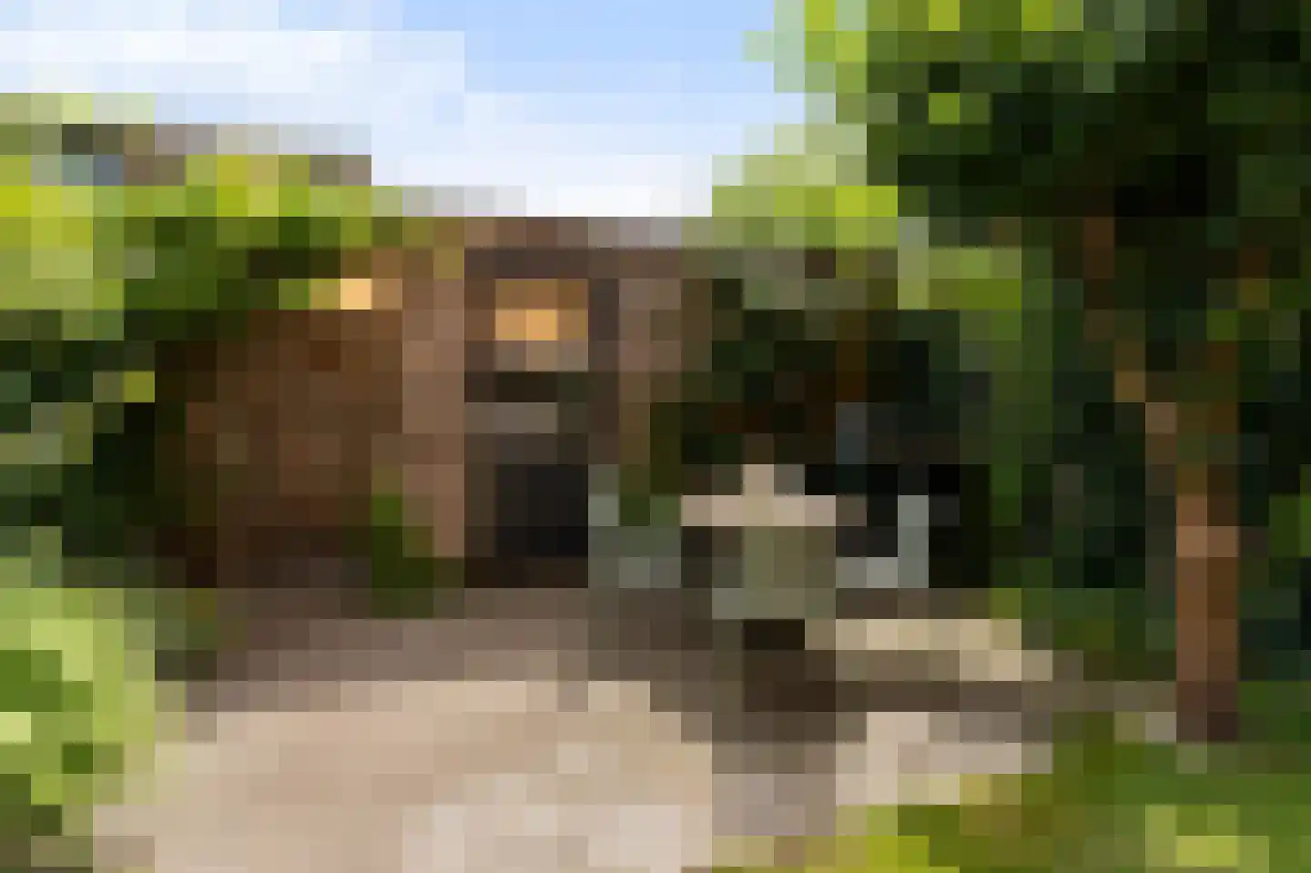 Gijsbertje Louffhof 15 Weesp thumbnail 15