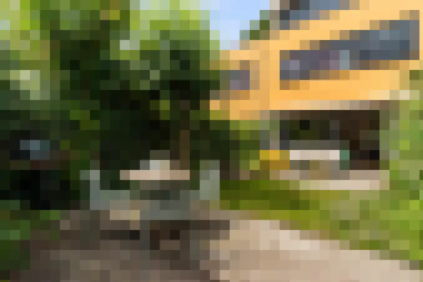 Gijsbertje Louffhof 15 Weesp thumbnail 16