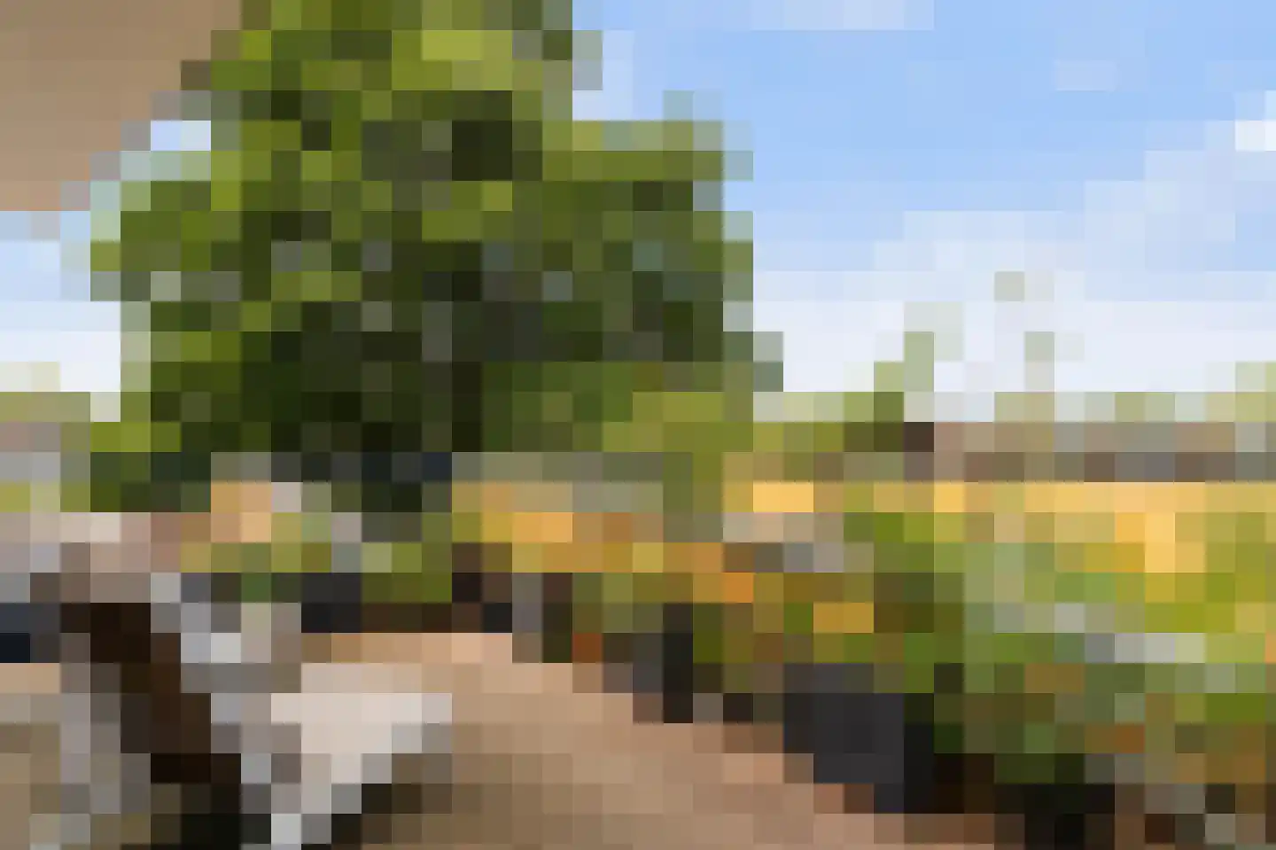 Gijsbertje Louffhof 15 Weesp thumbnail 27