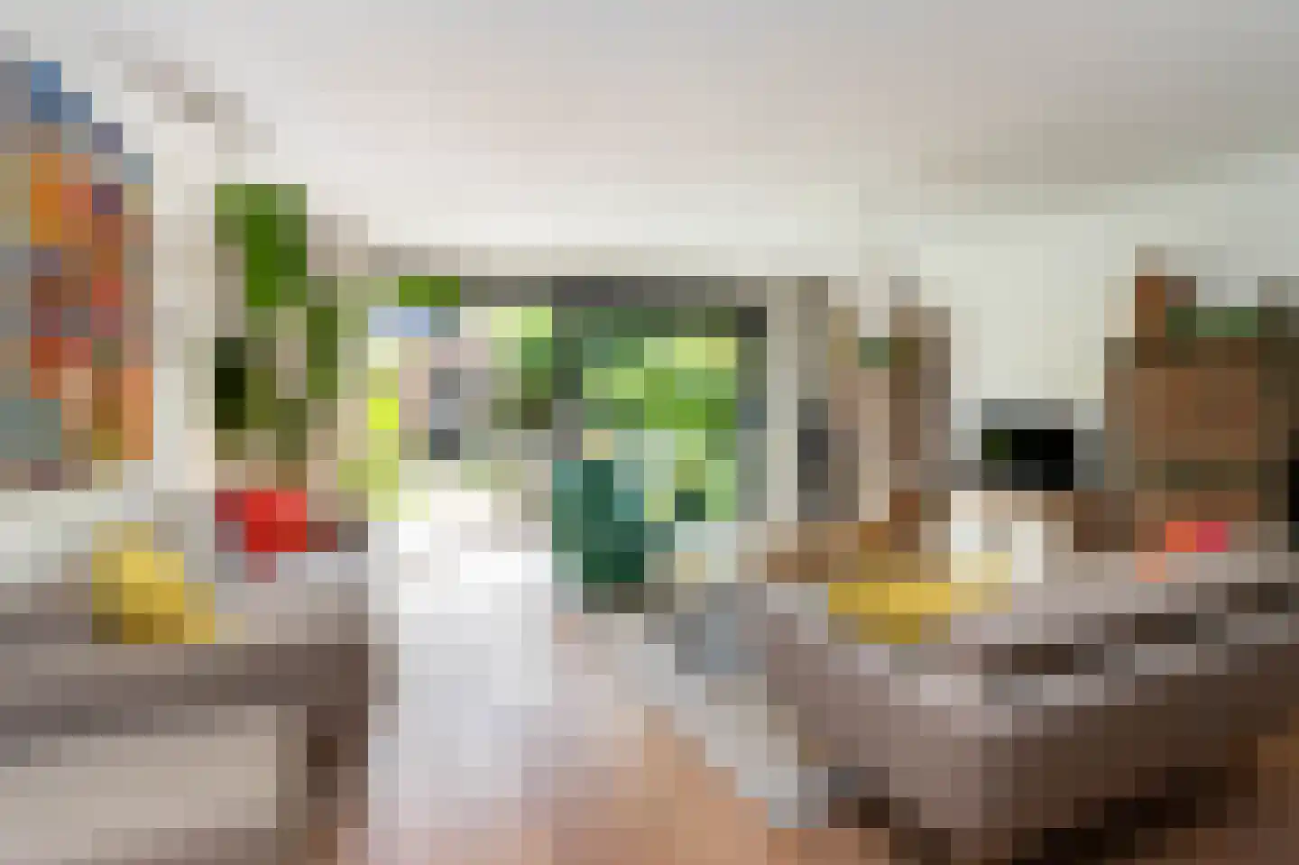 Gijsbertje Louffhof 15 Weesp thumbnail 6