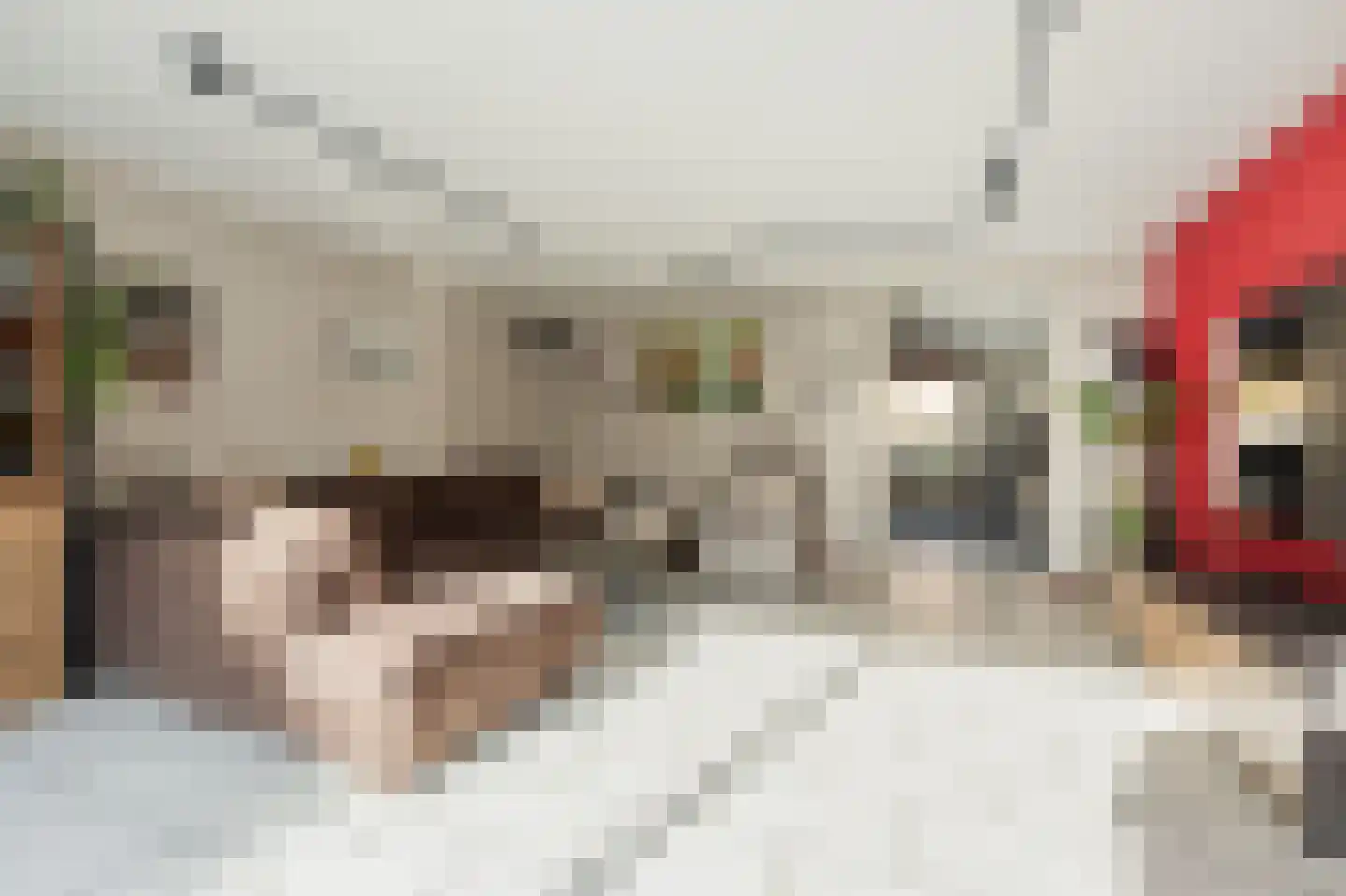 Gijsbertje Louffhof 3 Weesp thumbnail 15