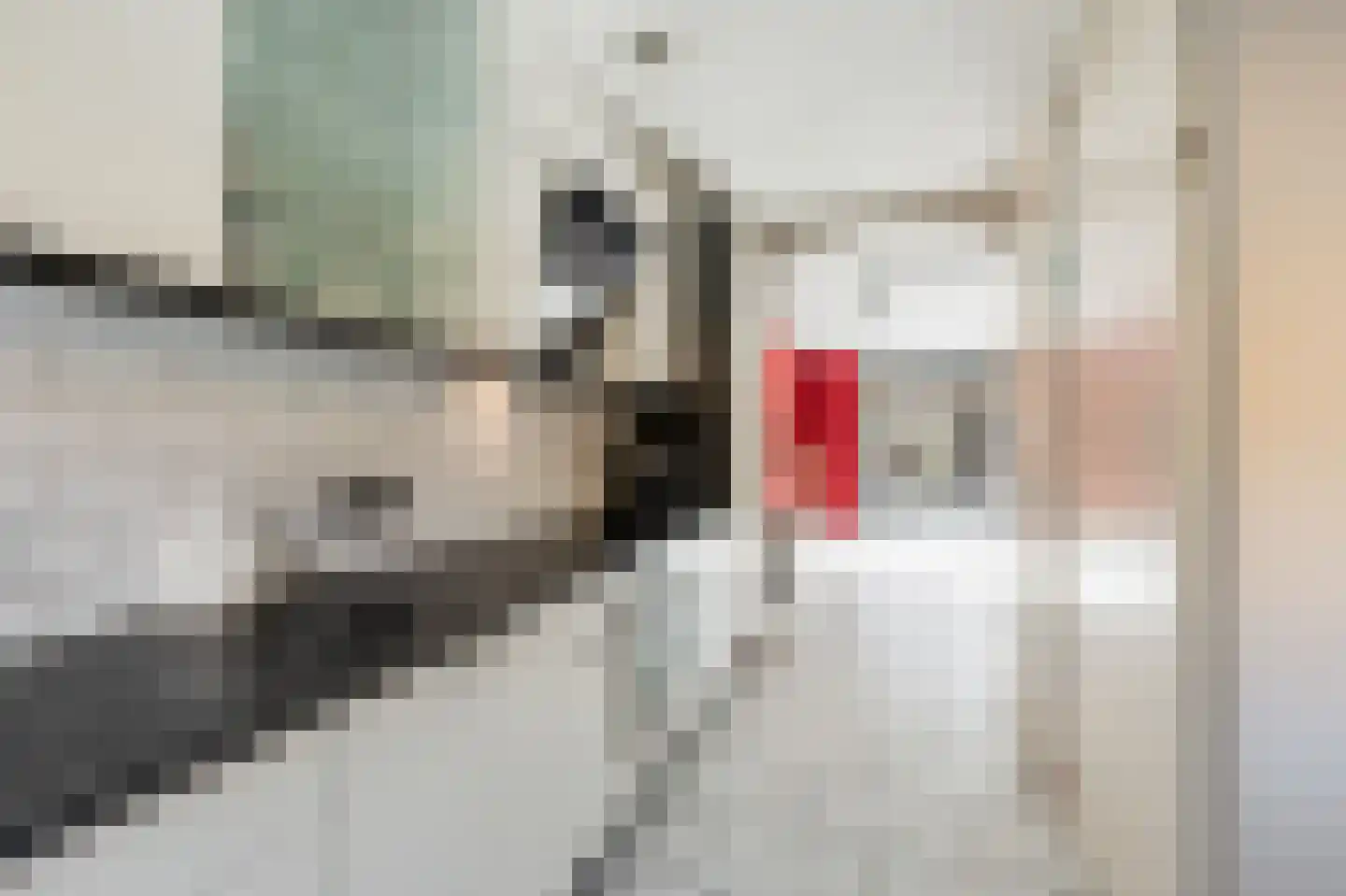Gijsbertje Louffhof 3 Weesp thumbnail 21