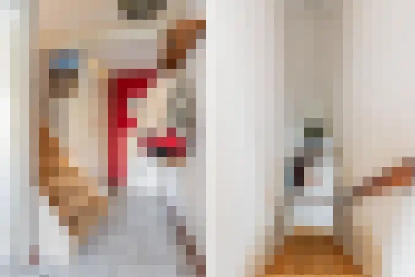 Gijsbertje Louffhof 3 Weesp thumbnail 22