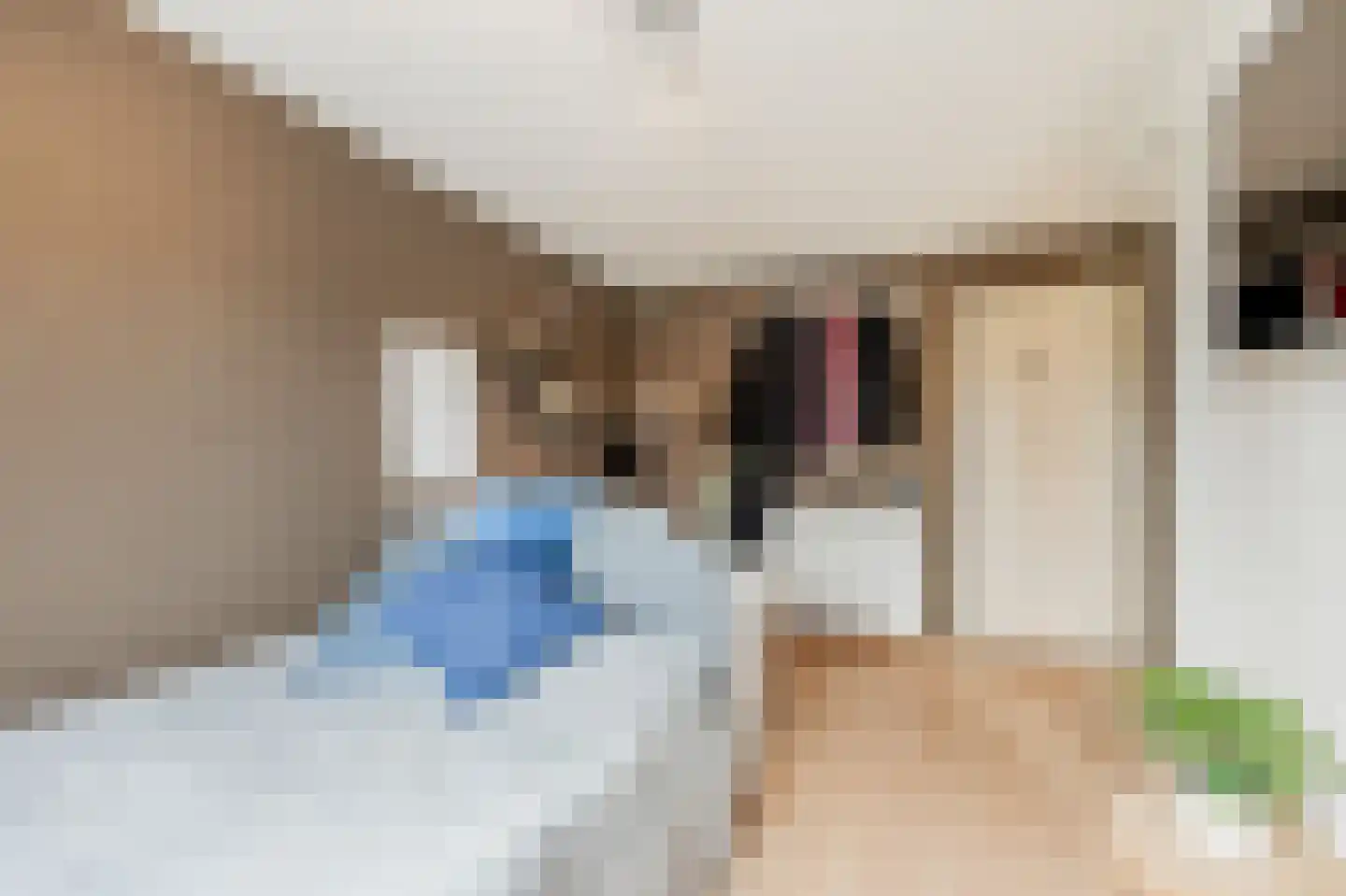 Gijsbertje Louffhof 3 Weesp thumbnail 30