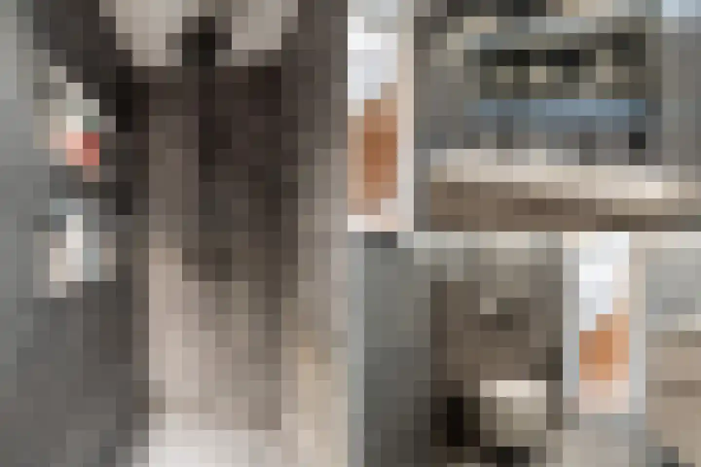 Gijsbertje Louffhof 3 Weesp thumbnail 31