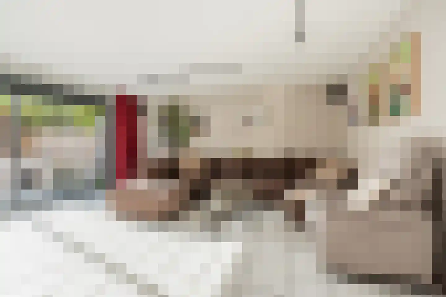 Gijsbertje Louffhof 3 Weesp thumbnail 7