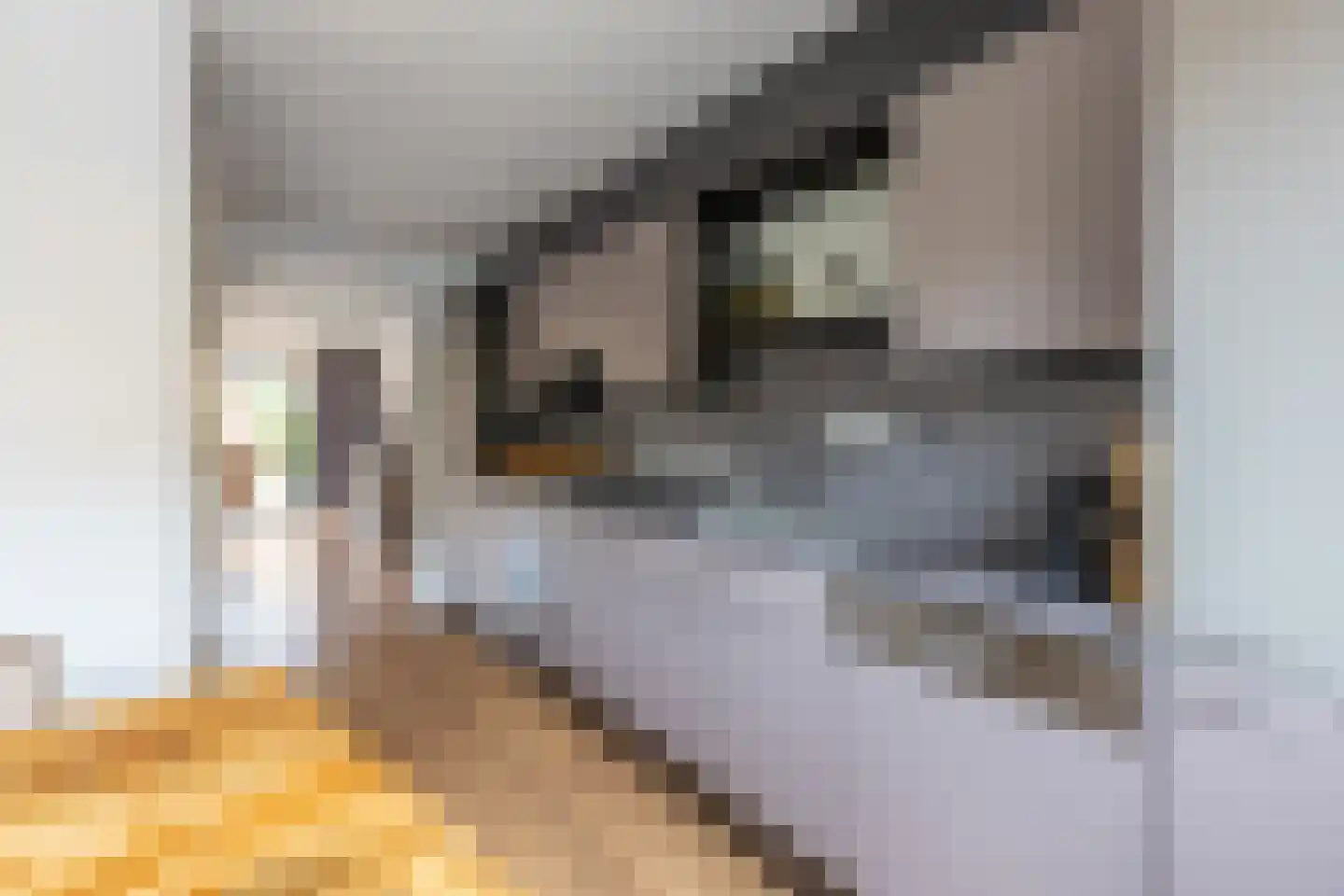Gijsbertje Louffhof 4 Weesp thumbnail 11