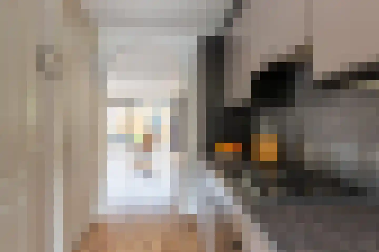 Gijsbertje Louffhof 4 Weesp thumbnail 12