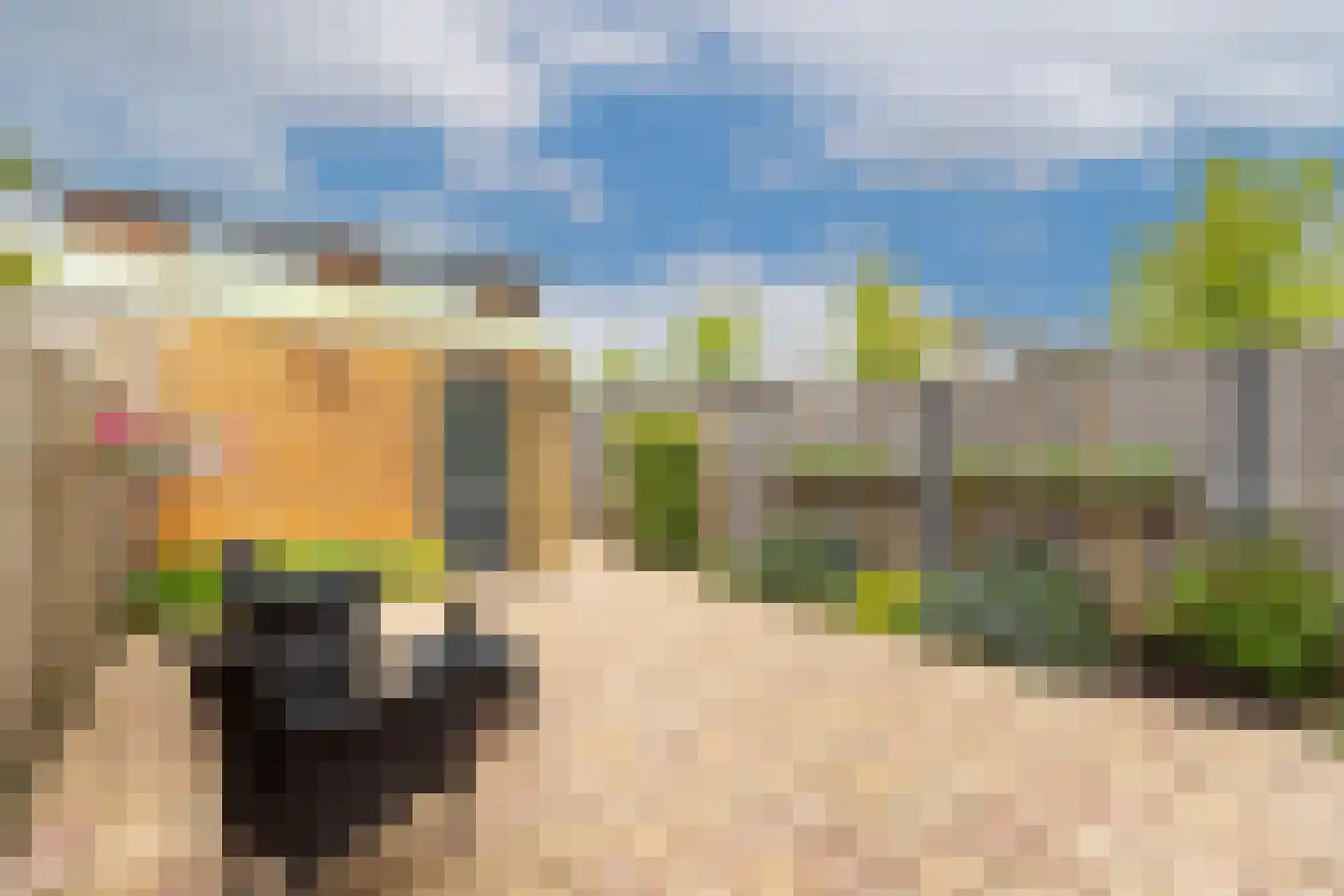 Gijsbertje Louffhof 4 Weesp thumbnail 19