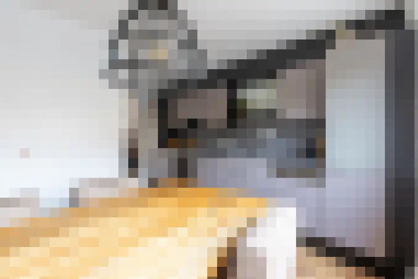 Gijsbertje Louffhof 4 Weesp thumbnail 9