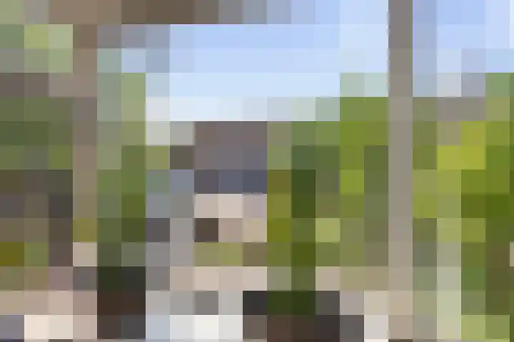 Gijsbrecht van Aemstelstraat 119 Haarlem thumbnail 6
