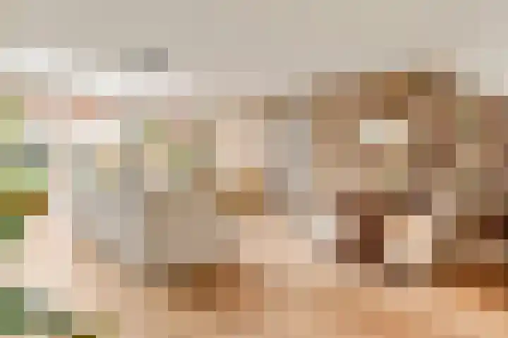 Gijsbrecht van Aemstelstraat 23 Haarlem thumbnail 15