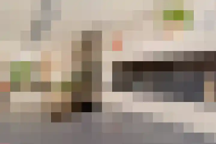 Gijsbrecht van Aemstelstraat 23 Haarlem thumbnail 21
