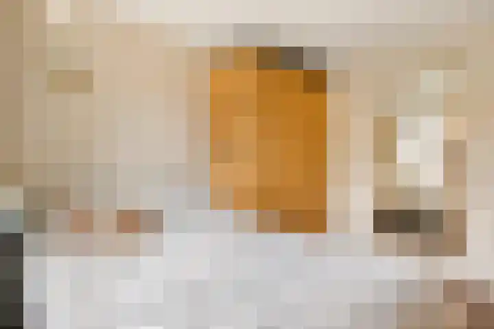 Gijsbrecht van Aemstelstraat 23 Haarlem thumbnail 33