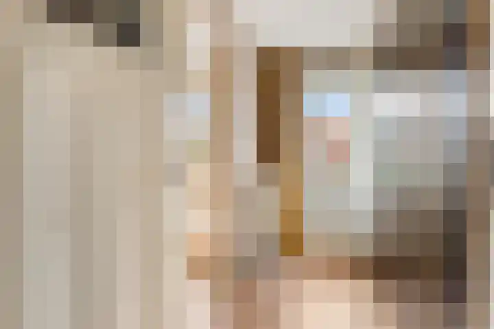 Gijsbrecht van Aemstelstraat 23 Haarlem thumbnail 36