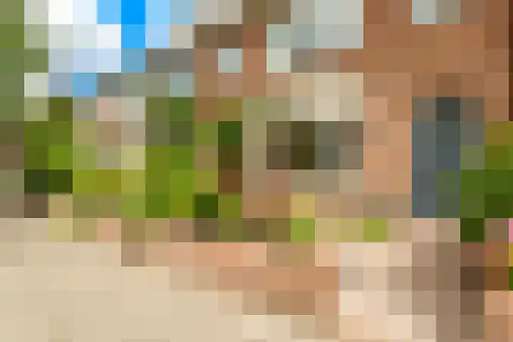 Gijsbrecht van Aemstelstraat 23 Haarlem thumbnail 5