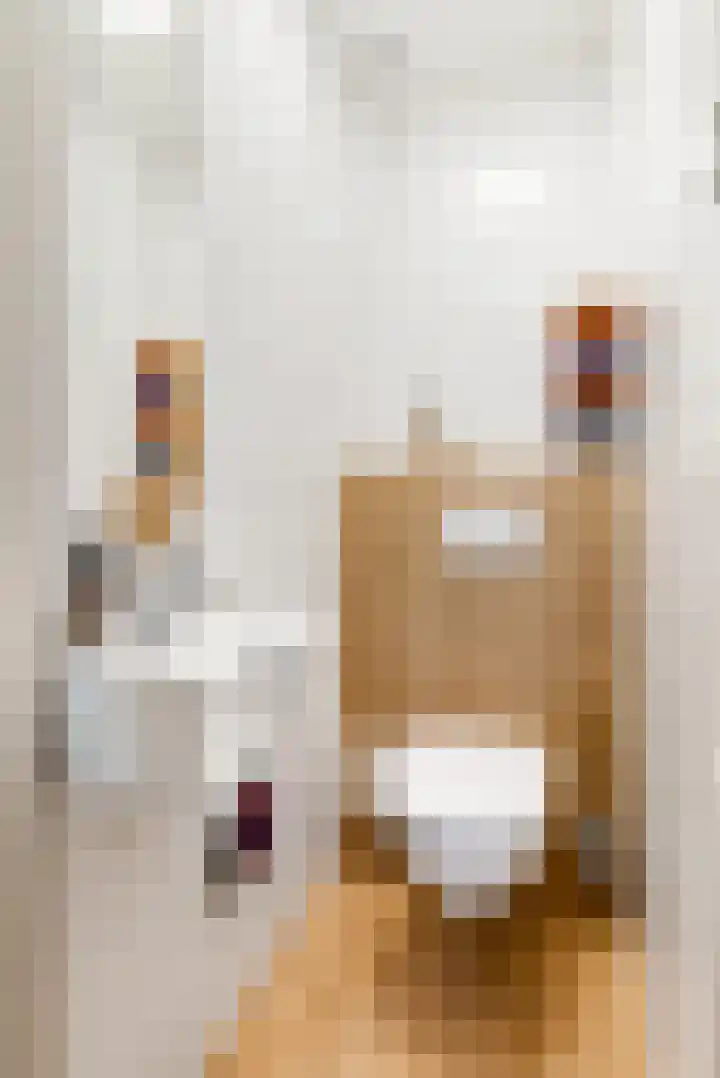 Gijsbrecht van Aemstelstraat 23 Haarlem thumbnail 9