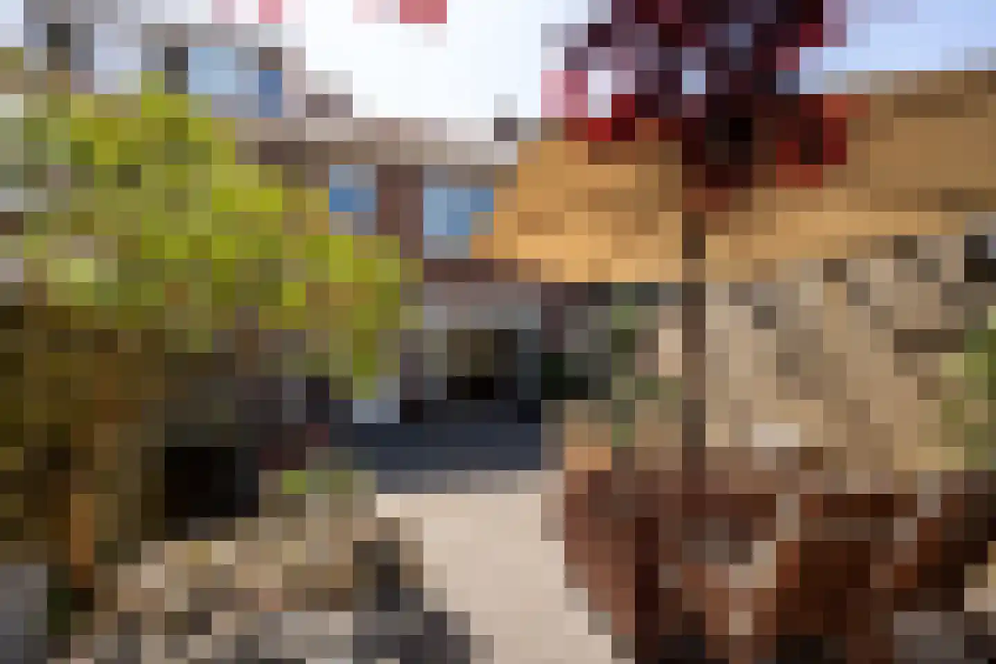 Gijsbrecht van Aemstelstraat 41 Haarlem thumbnail 11
