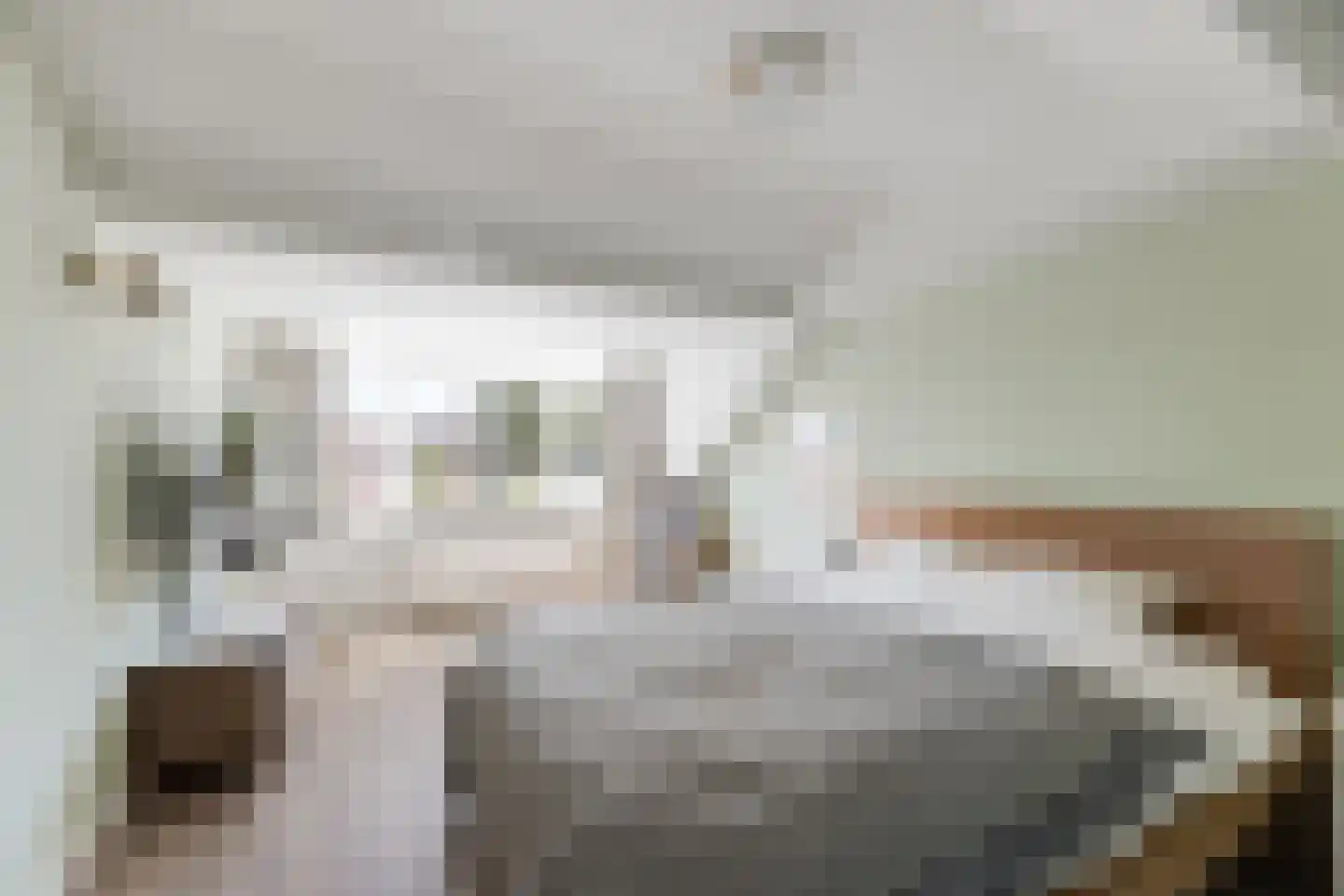 Gijsbrecht van Aemstelstraat 41 Haarlem thumbnail 20