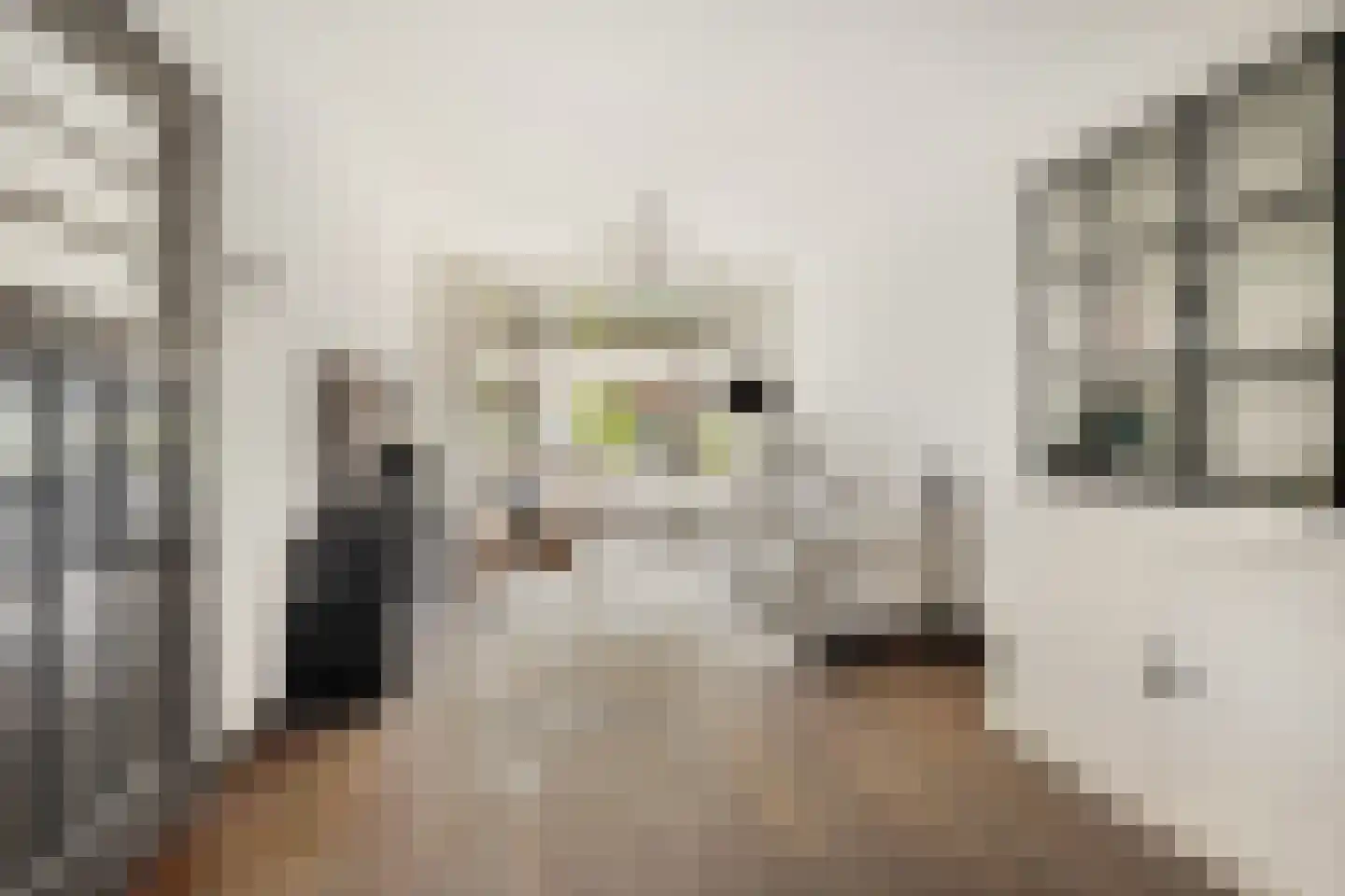 Gijsbrecht van Aemstelstraat 41 Haarlem thumbnail 4