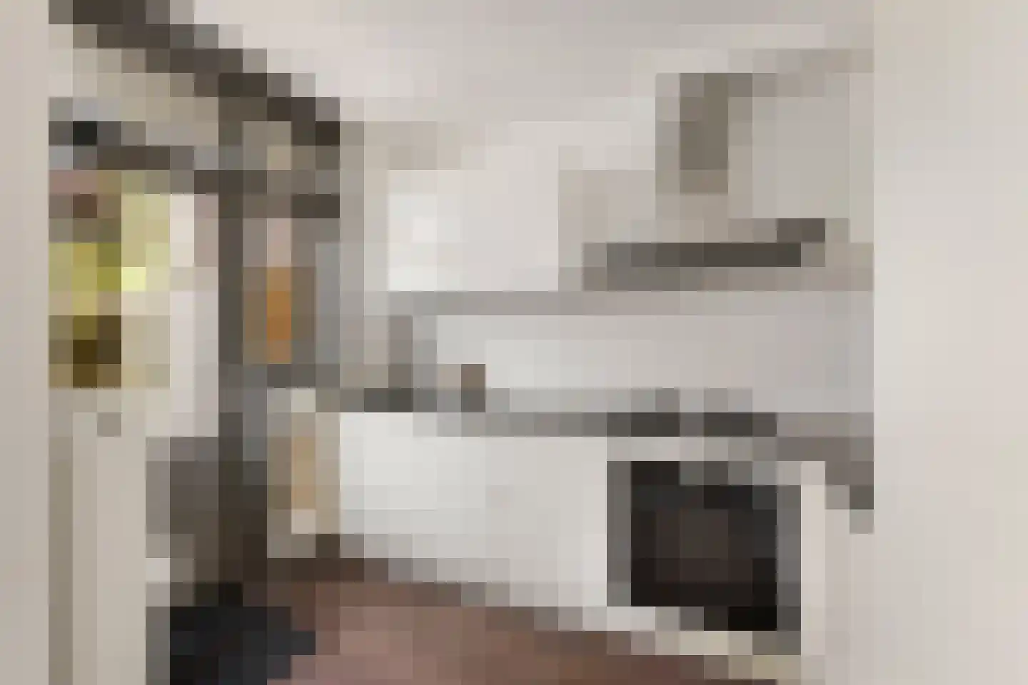 Gijsbrecht van Aemstelstraat 41 Haarlem thumbnail 8