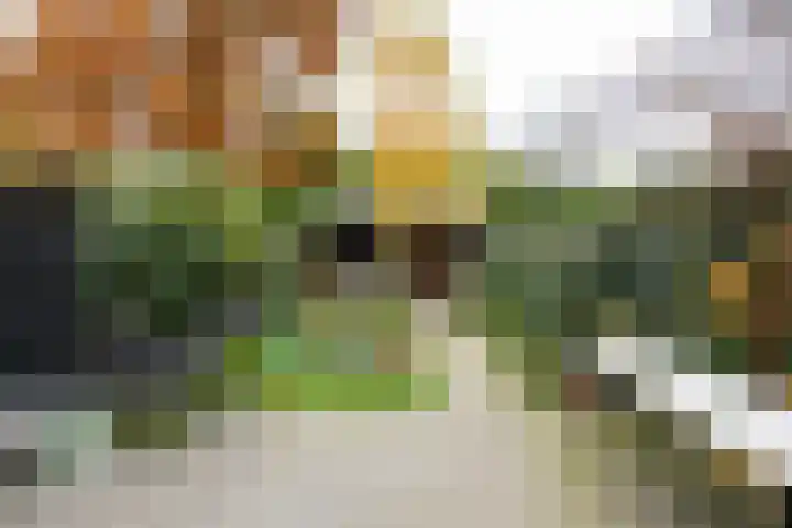 Gijsbrecht van Amstellaan 14 Zeist thumbnail 22