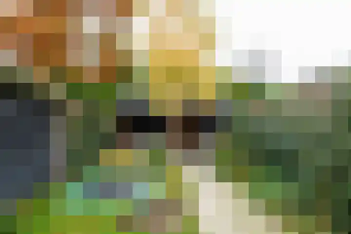 Gijsbrecht van Amstellaan 14 Zeist thumbnail 23
