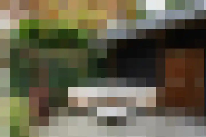 Gijsbrecht van Amstellaan 14 Zeist thumbnail 24