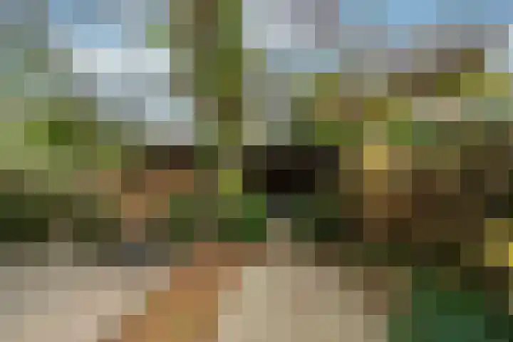 Gijsbrecht van Amstellaan 16 Zeist thumbnail 29