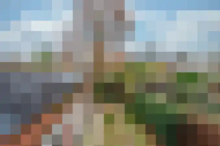 Gijsbrecht van Amstellaan 16 Zeist thumbnail 44