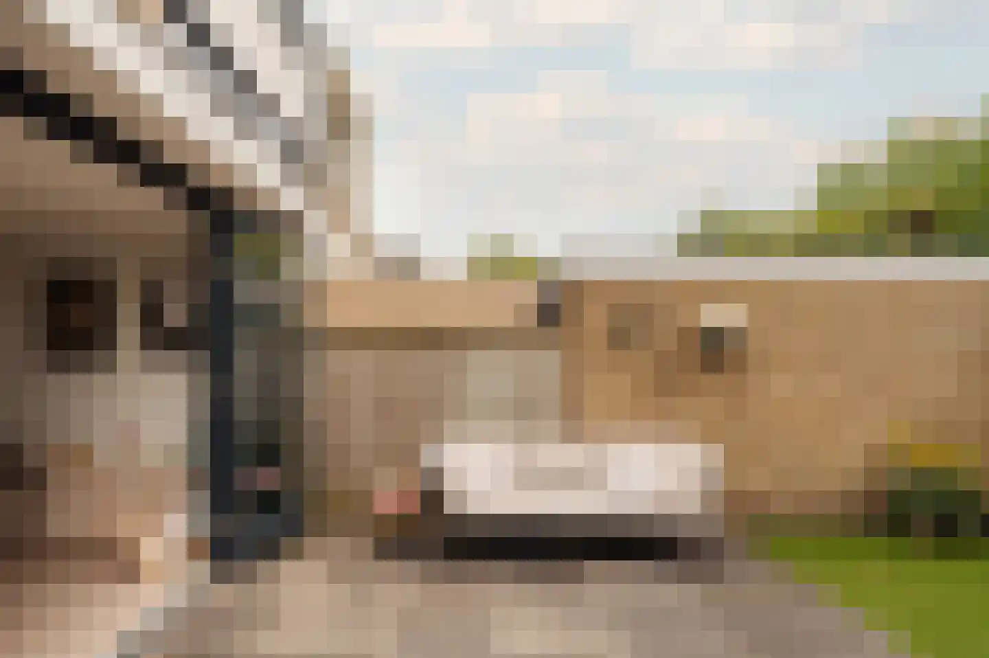 Gijsbrecht van Amstellaan 31 Amstelveen thumbnail 12