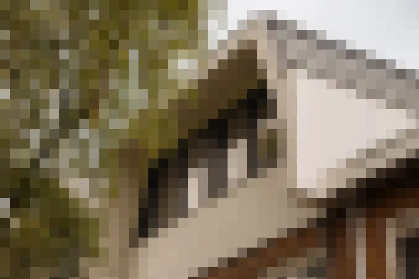 Gijsbrecht van Amstellaan 31 Amstelveen thumbnail 4