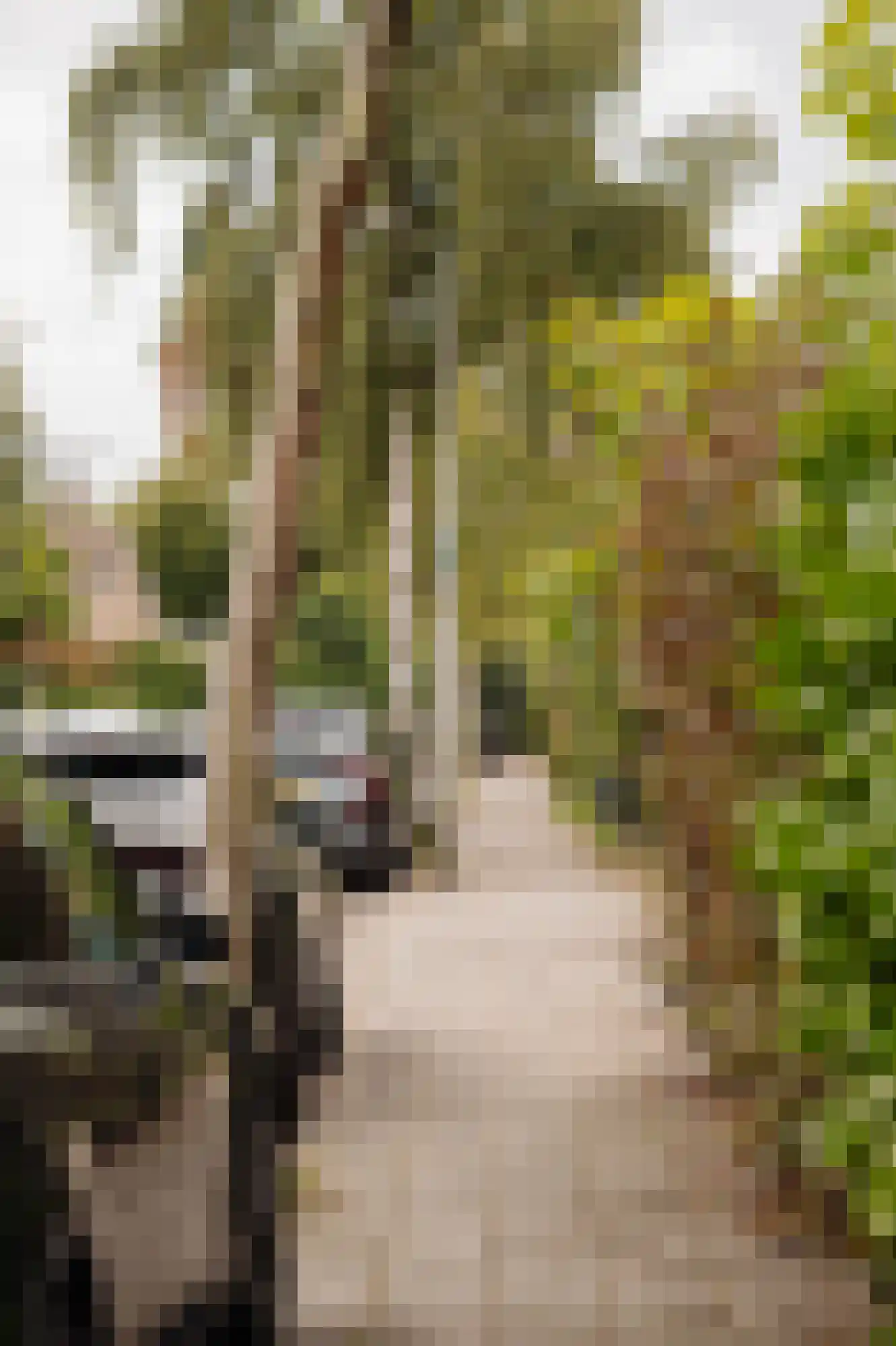 Gijsbrecht van Amstellaan 31 Amstelveen thumbnail 41