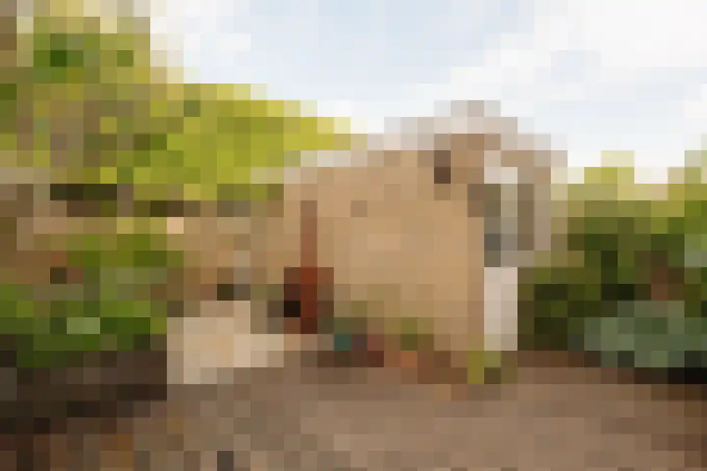 Gijsbrecht van Amstellaan 7 Amstelveen thumbnail 12