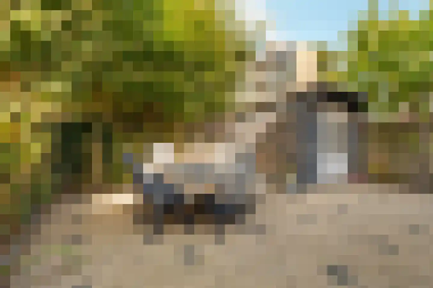 Gijsbrecht van Amstellaan 71 Amstelveen thumbnail 13